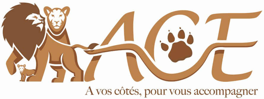 ALT Expert-comptable à Avignon